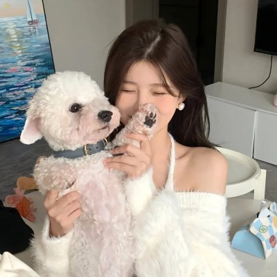 偷心女巫 海报