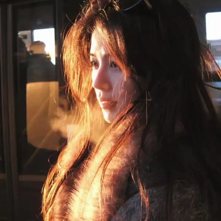 望实与君雄 海报